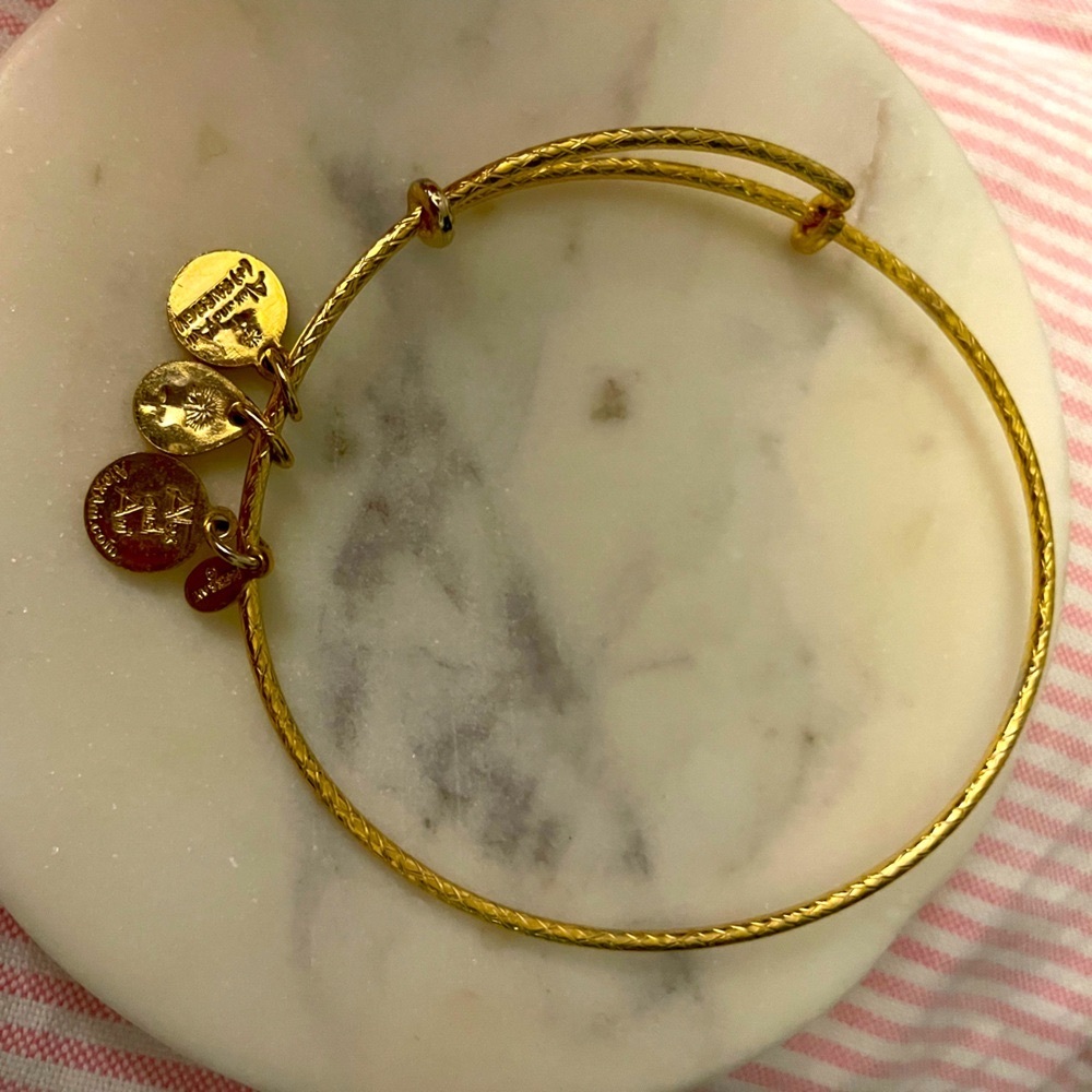 Alex and Ani Rafaelian Gold Plain Bangle Bracelet